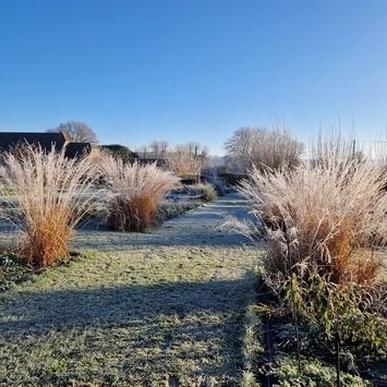 Photo of frosty garden at The Toy Barn, Sherborne.